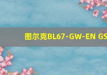 图尔克BL67-GW-EN GS